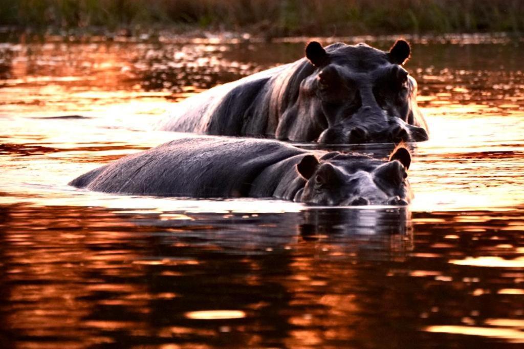 Ndlovu Log Home Dinokeng Klipdrift Exterior foto