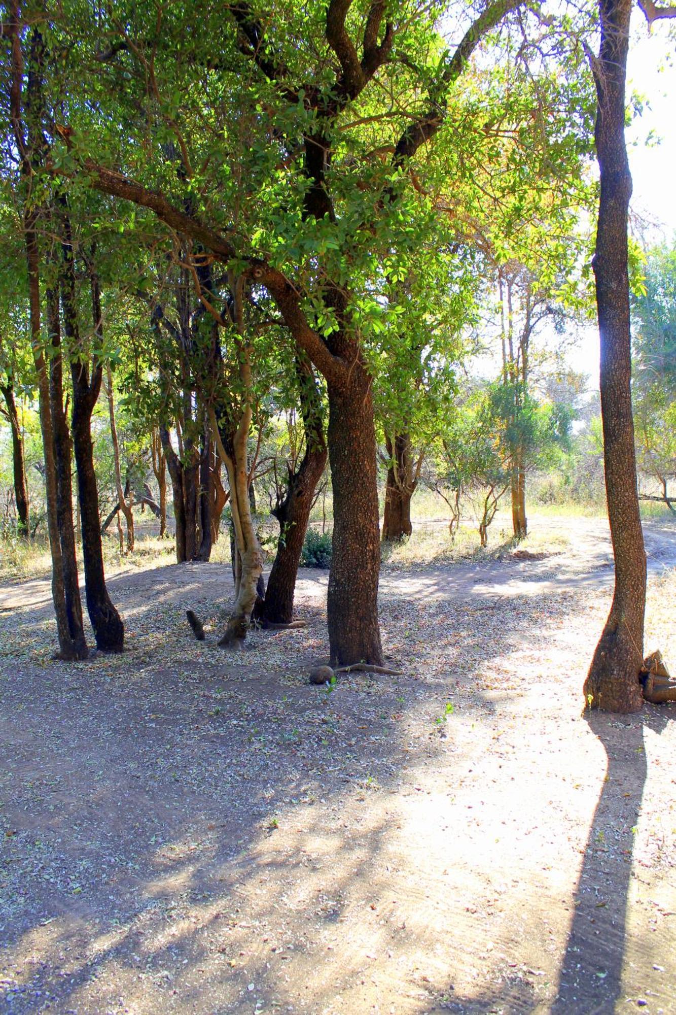 Ndlovu Log Home Dinokeng Klipdrift Exterior foto